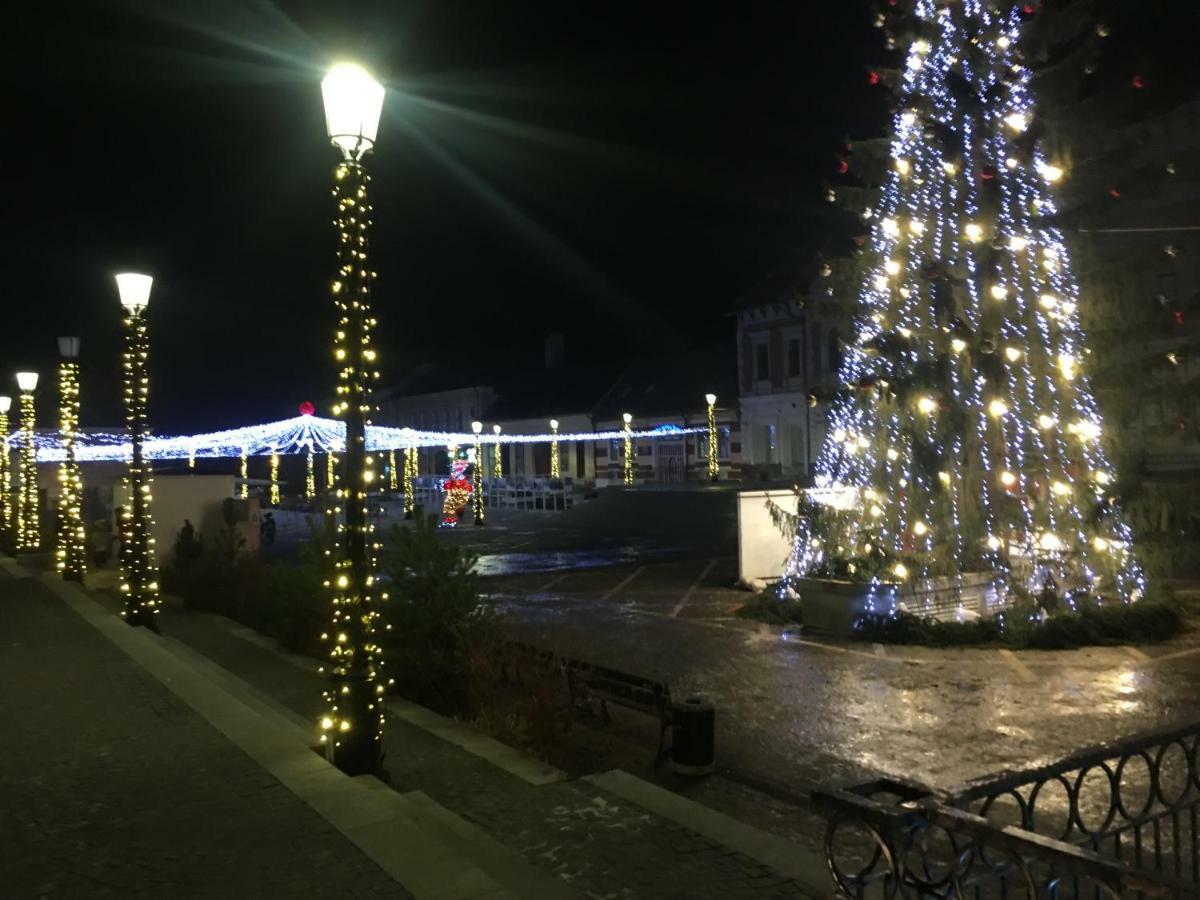 Casa Bergwald Apartment Rîşnov Екстериор снимка